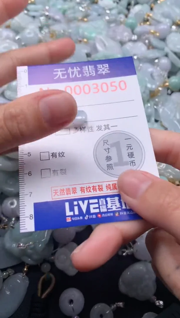 颈饰未镶嵌翡翠3050