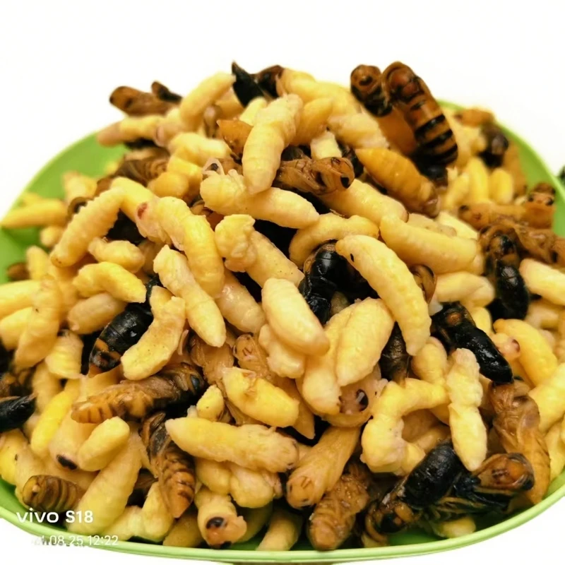 【田王寨】树蜂蛹熟冻——1级2级4级混装！