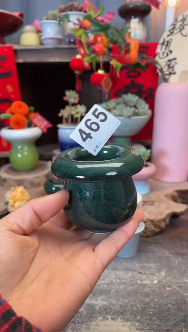 【闪购商品】摆件465知木小芳花盆