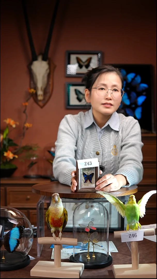 Z43     白条松蚬蝶冰箱贴 木质框