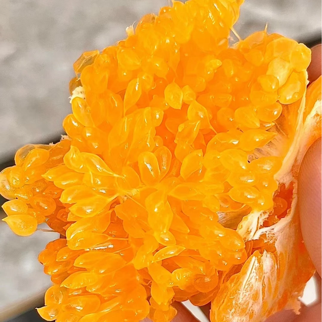 春见耙耙柑（1500g）四川