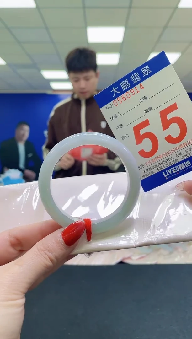 未镶嵌手镯翡翠AAAAAAAAA