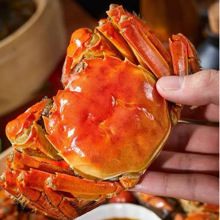 【活蟹】江苏兴化大闸蟹公母组合 公蟹5两+母蟹4两 8 -10只顺丰发货