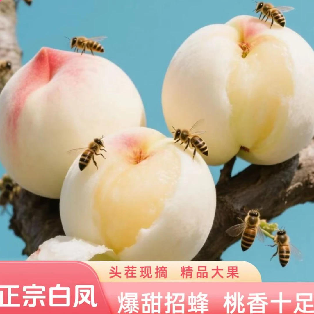 【桃皇白凤】正宗阳山水蜜桃7-8两礼盒装6只装-整箱发货阳山脚下自家园子当季新鲜水果江苏省