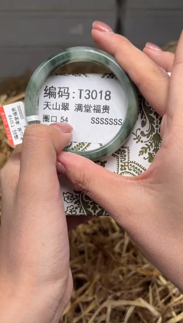未镶嵌手镯石英质玉T3018