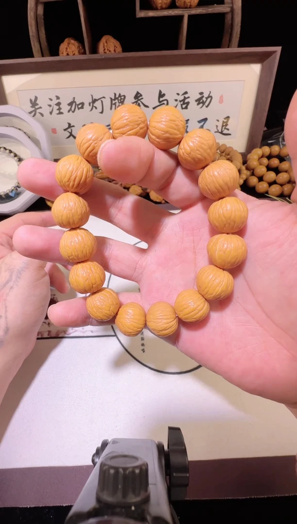龙脊菩提手串1111