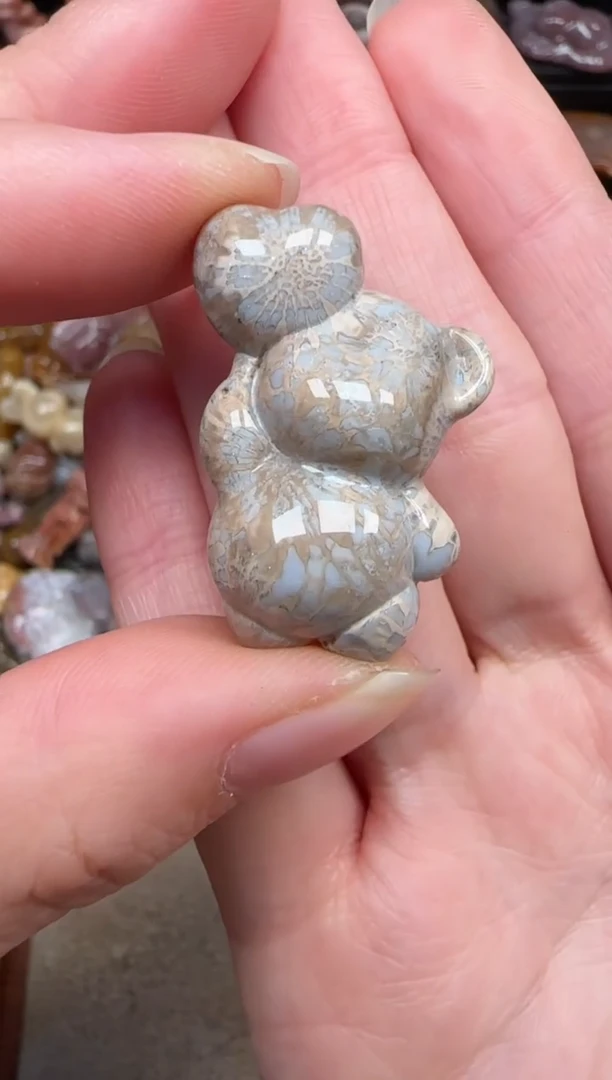 颈饰未镶嵌硅化珊瑚（珊瑚玉）782