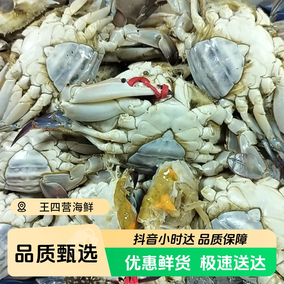 海蟹（刚牺牲的）有黄有肉三斤装，一斤2/4个