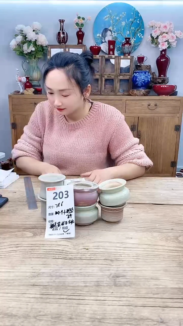 【闪购商品】红陶203