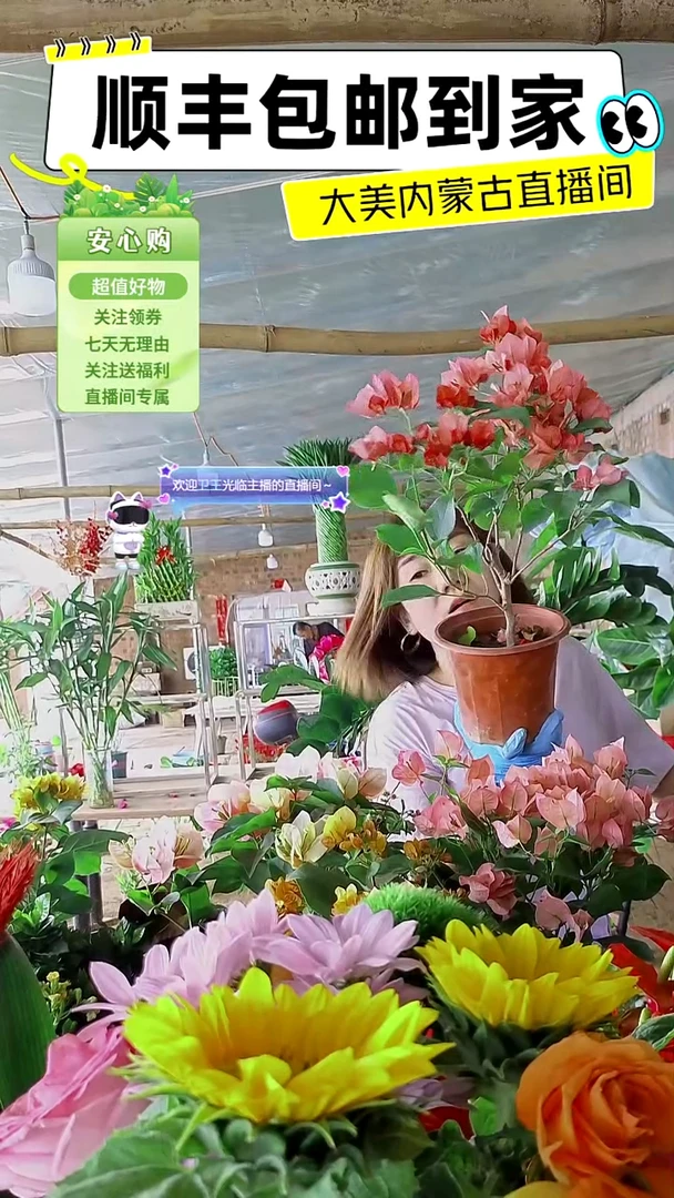完全开放不甜西瓜