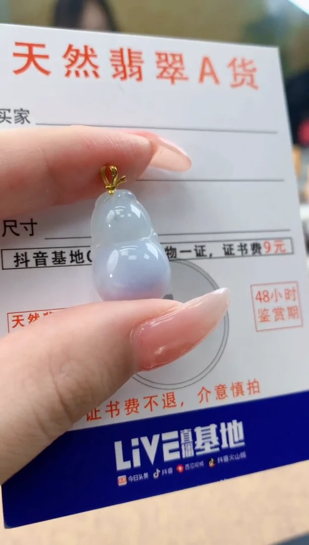 颈饰未镶嵌翡翠天然A货翡翠挂件