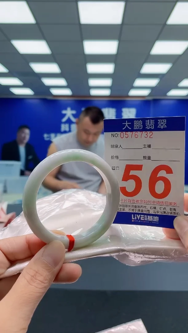 未镶嵌手镯翡翠AAAAAAAAA