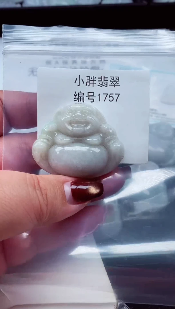 颈饰未镶嵌翡翠缅甸天然A货翡翠1757