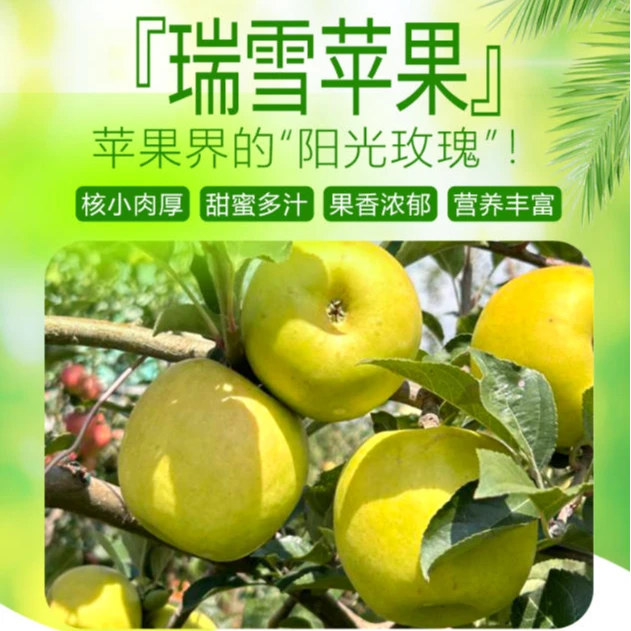 【顺丰/京东快递】瑞雪瑞香红双拼/红富士奶油富士王林三拼