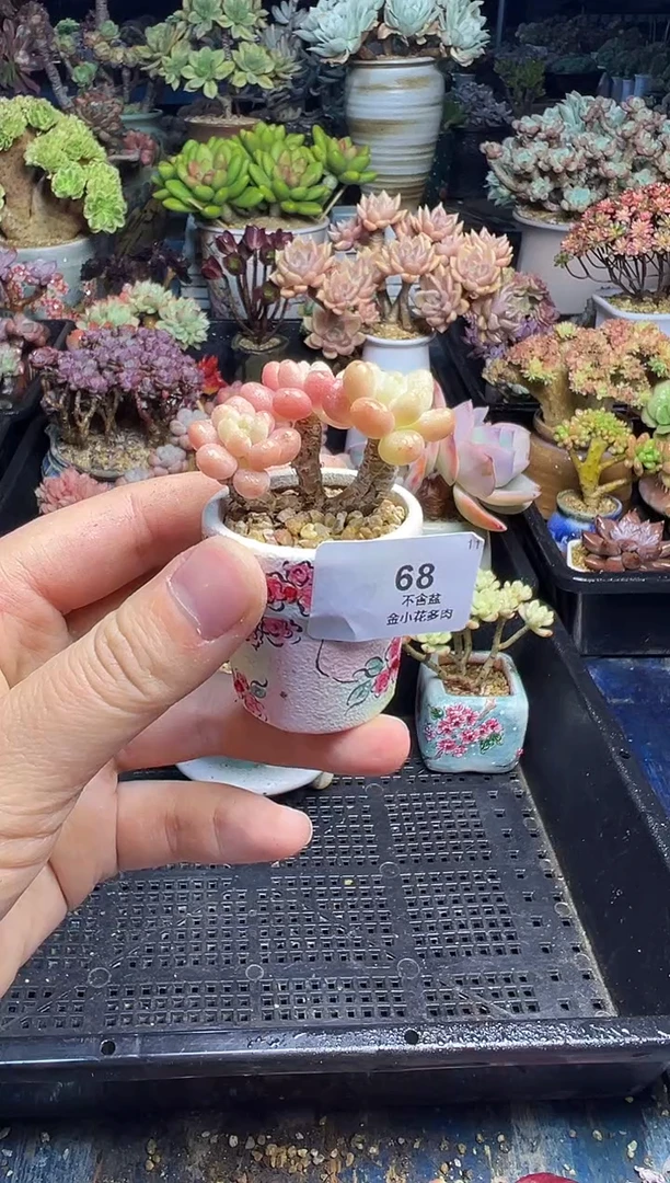 赤****柜68               不带盆