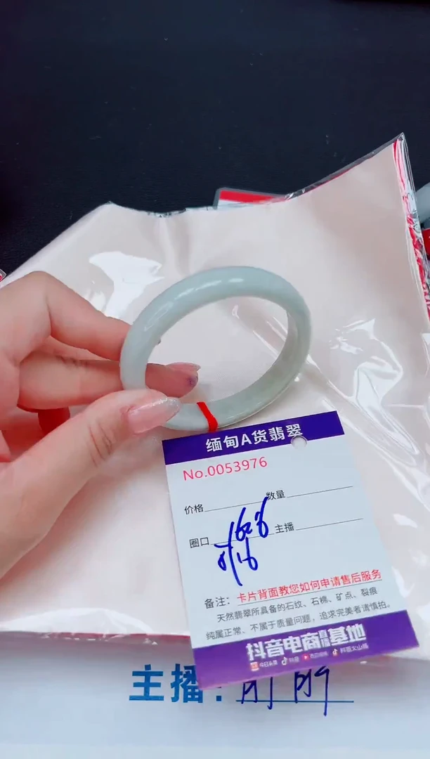 未镶嵌手镯翡翠11111