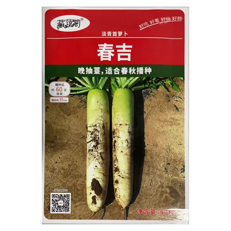 春吉超大萝卜种子 淡青首大白萝卜种籽60粒