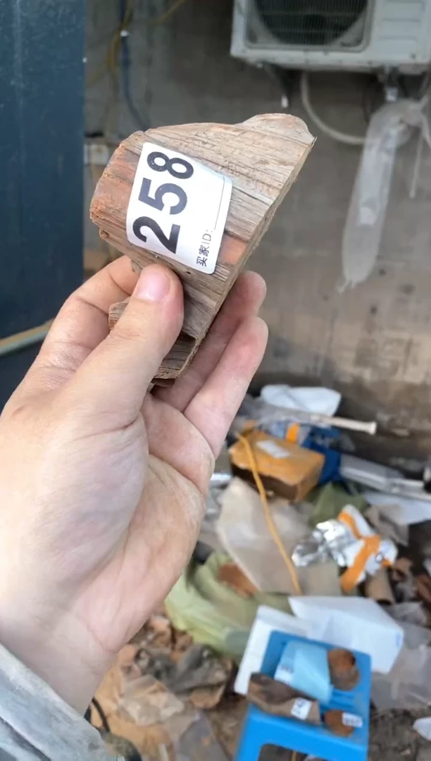 【闪购商品】柏木太行陈化崖柏（津诚林）切片