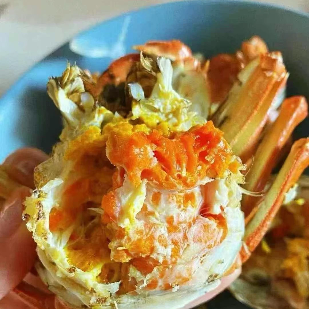 鲜活蟹3.2-2.8两母蟹10只顺丰发货有膏青有肉蟹