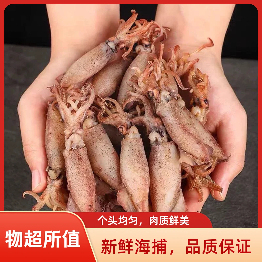 （直播专享）大号海兔干熟晒北部湾鱿鱼仔野生鱿鱼干笔管鱼肉厚