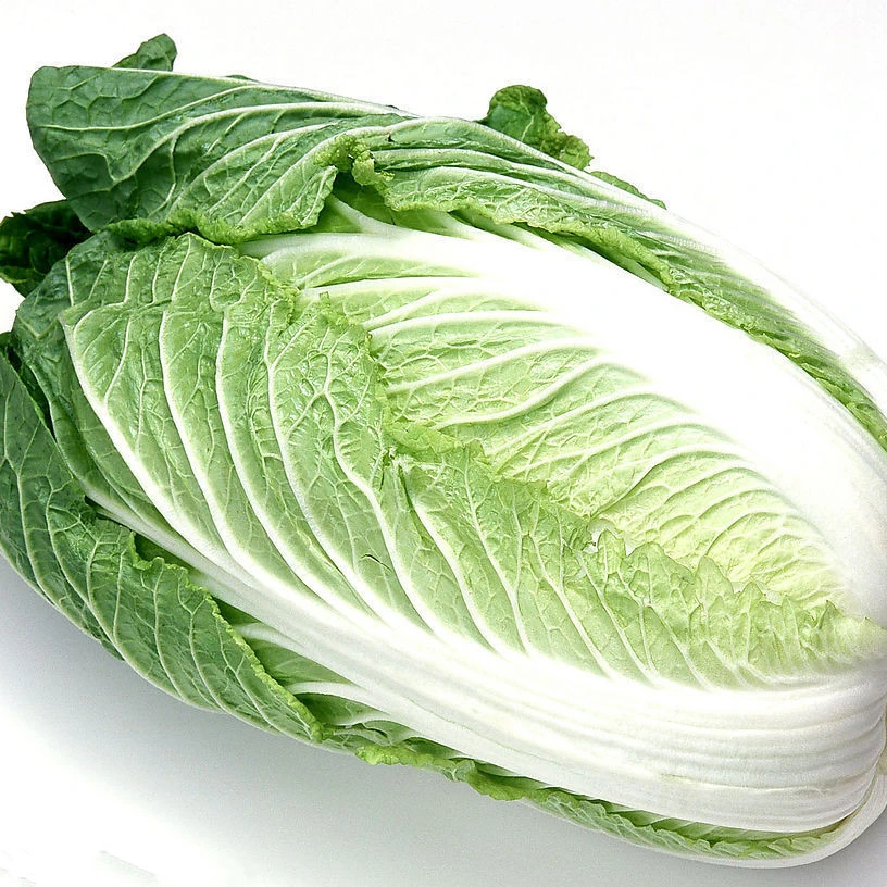 【劳模大叔赶大集】新鲜大白菜