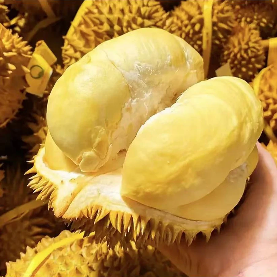 【榴鲜生002】越南新鲜树熟金枕榴莲现剥肉1.8-2斤核小榴莲同城配金枕泰国