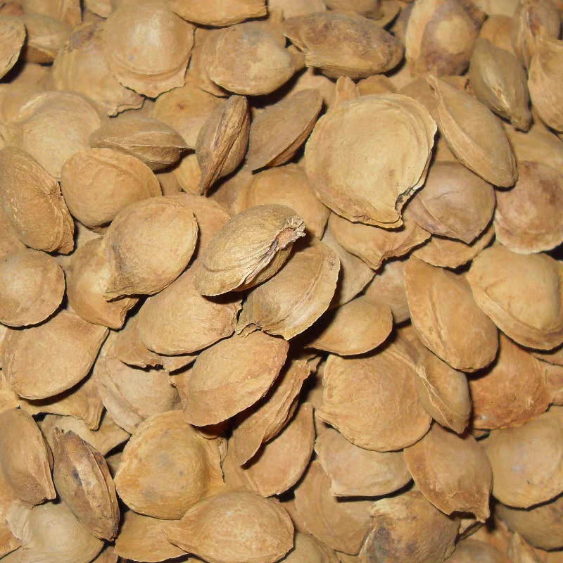 蓟县大山苦杏壳，杏仁，产自大山，品质高，无添加，更健康