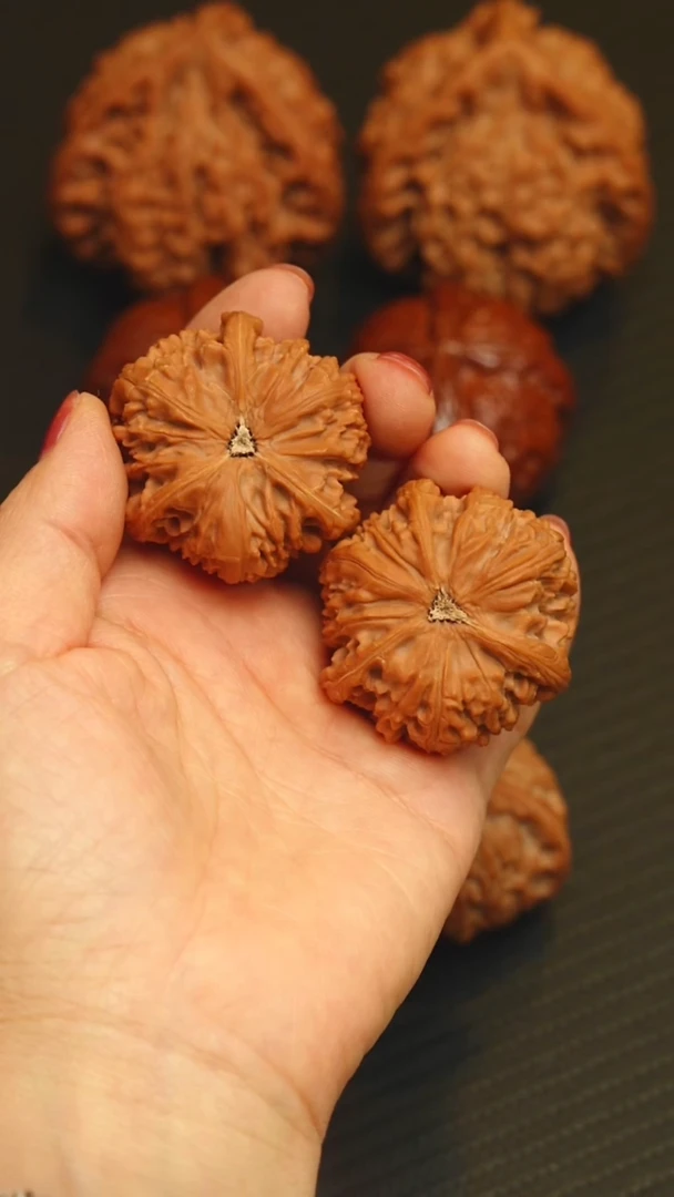 吊坠文玩核桃43 全品御龙粗筋