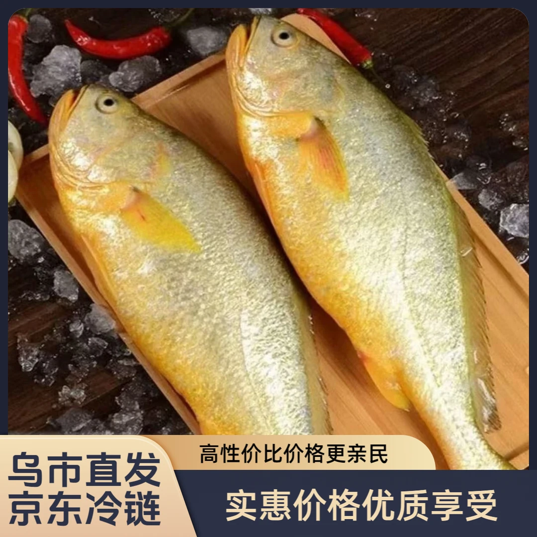 【只发新疆】乌市直发京东冷链大黄花鱼鲜活速冻无冰净鱼东海特产