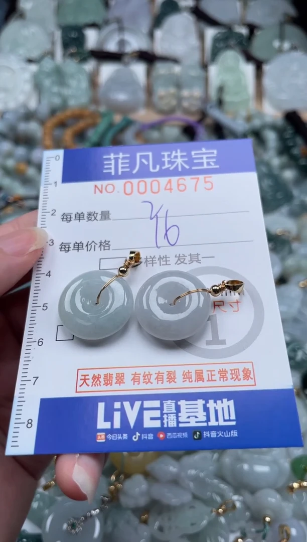 翡翠未镶嵌颈饰00..4675