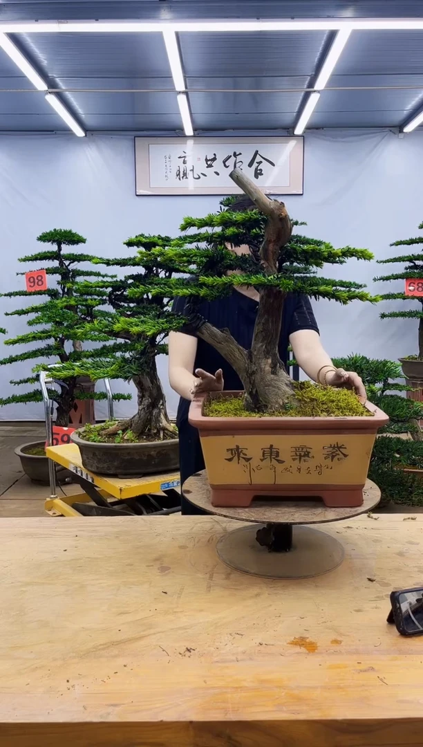 无花朵一物一拍，所见即所得