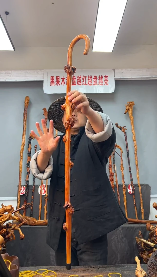 【闪购商品】黑果木其他黑果木164