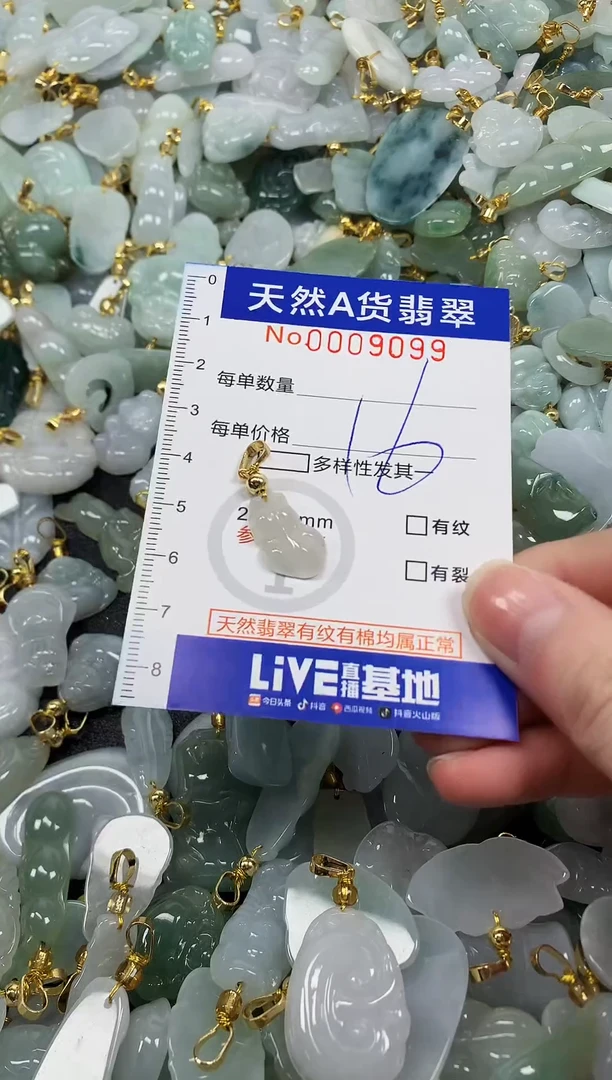 颈饰未镶嵌翡翠纯天然a货翡翠