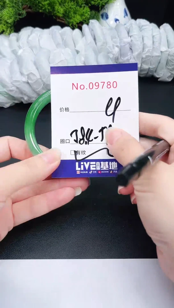 未镶嵌手镯翡翠9780半