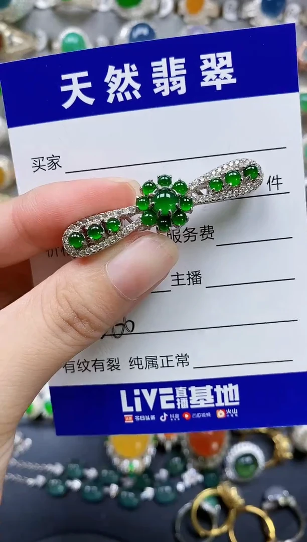 翡翠银S925镶嵌颈饰266