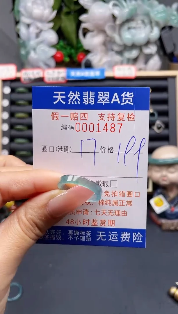 翡翠戒指未镶嵌17*1487