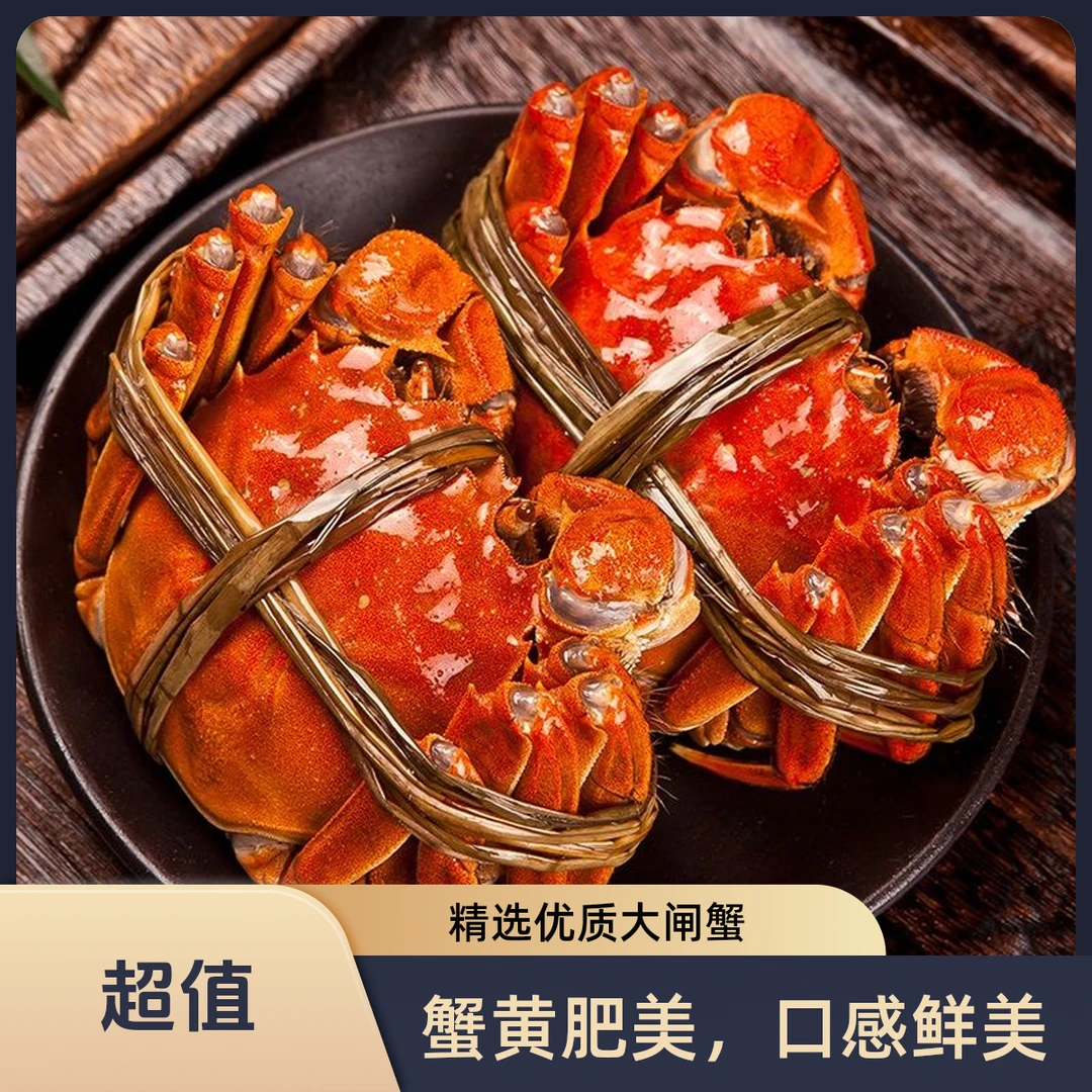 【活蟹】阳澄天使母蟹2.5两-2.7两4只-10只装鲜活精品蟹青蟹青壳蟹