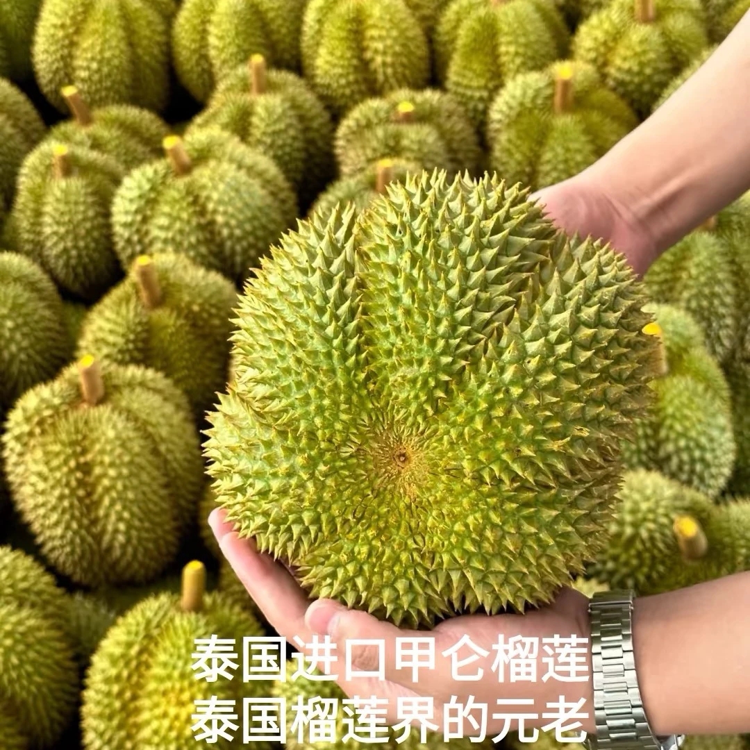 【翔宇专属1】一物一拍泰国树熟新鲜甲仑榴莲软糯香甜3-7斤核大整果带壳发货【顺丰次日达】甲仑泰国甲仑泰国