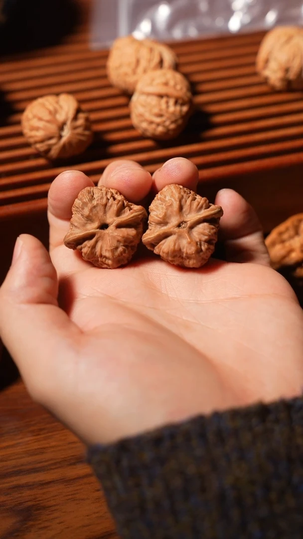 核桃野生角32.。。。。。。。。