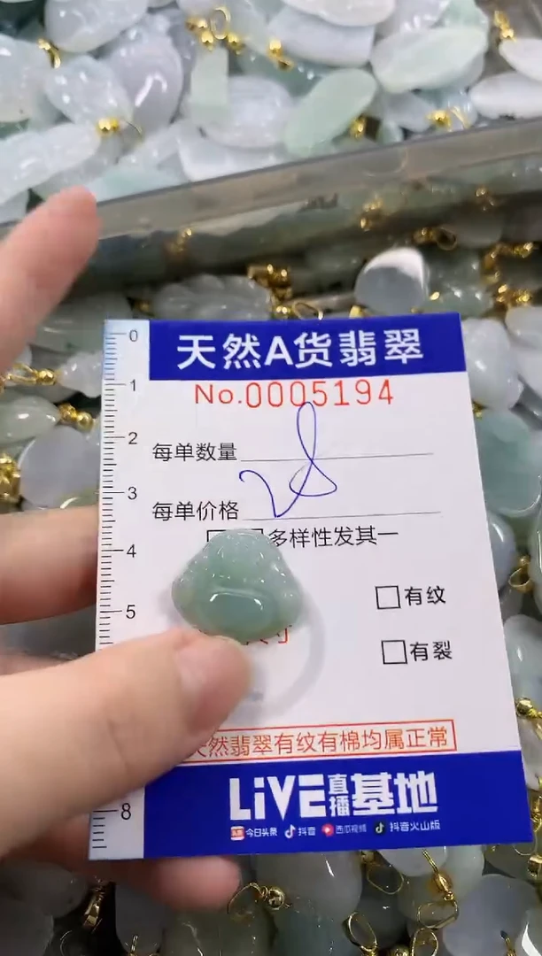 颈饰未镶嵌翡翠天然A货翡翠