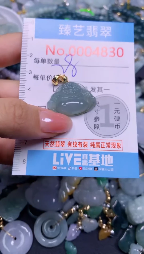 颈饰未镶嵌翡翠4830