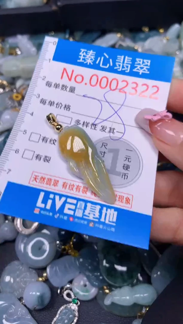 【闪购商品】翡翠颈饰未镶嵌含绳0002322