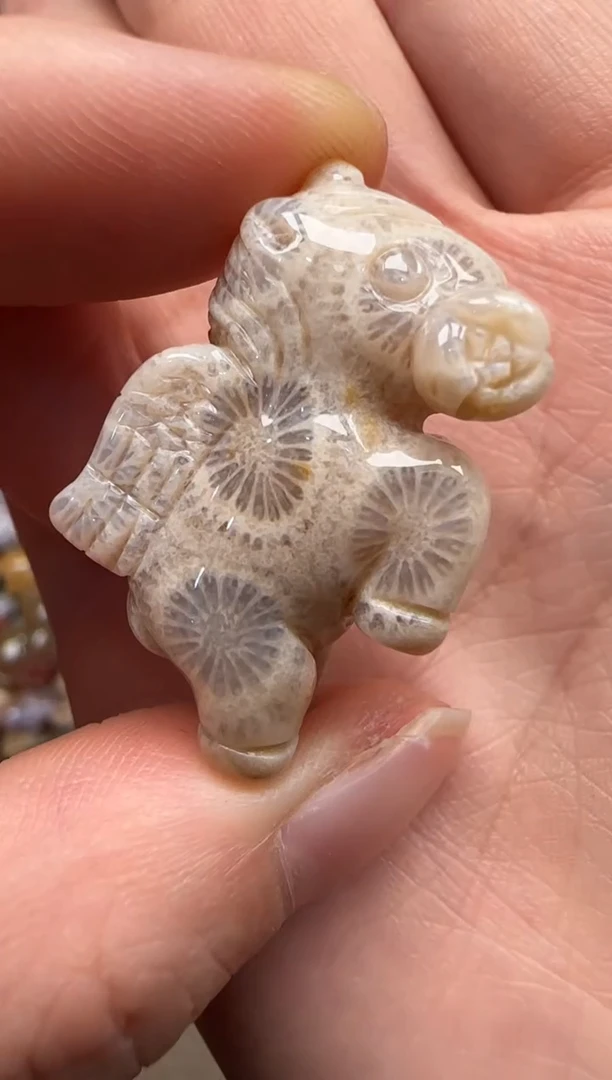 【闪购商品】硅化珊瑚（珊瑚玉）颈饰未镶嵌402