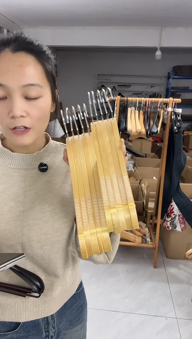 马来西亚衣架10支装