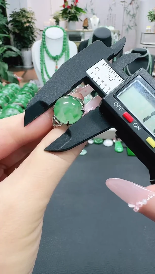 未镶嵌1石英质玉（非洲翠）/0499