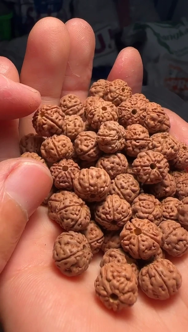 手串金刚菩提非全品老树王散籽10-11mm一份一百颗