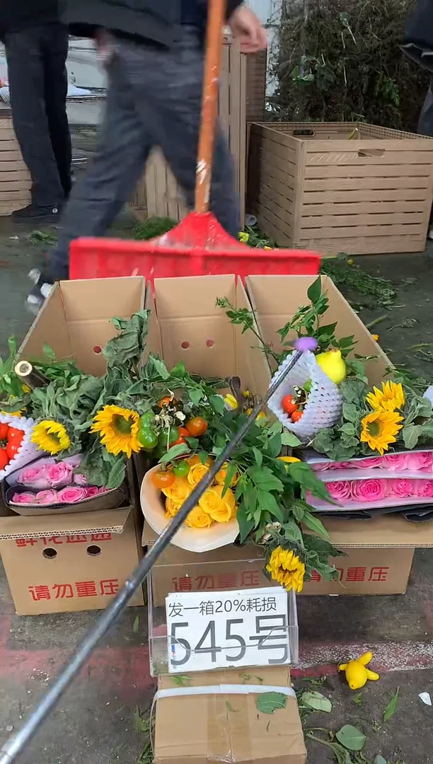 545号♥不指定中通含20%耗损发一箱
