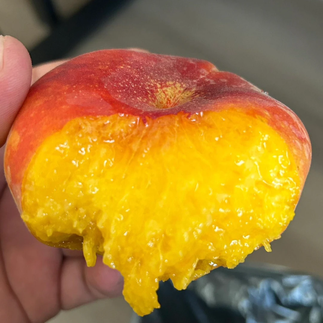 【篱笆优选】 新疆石河子黄金丑蟠桃（收到挑软的先吃，软吃香甜多汁