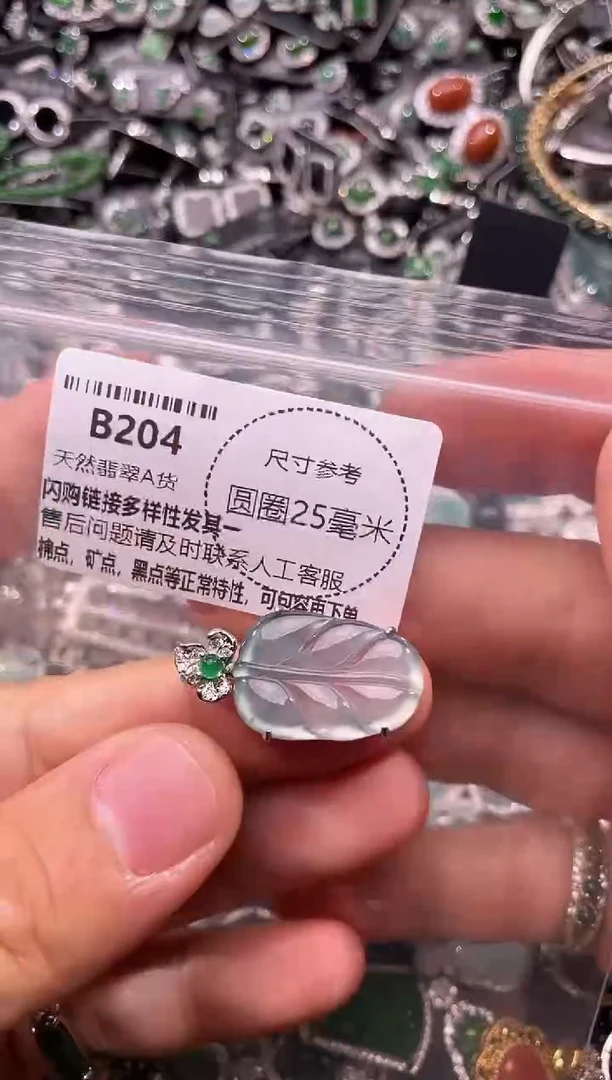 翡翠未镶嵌颈饰B204吊坠