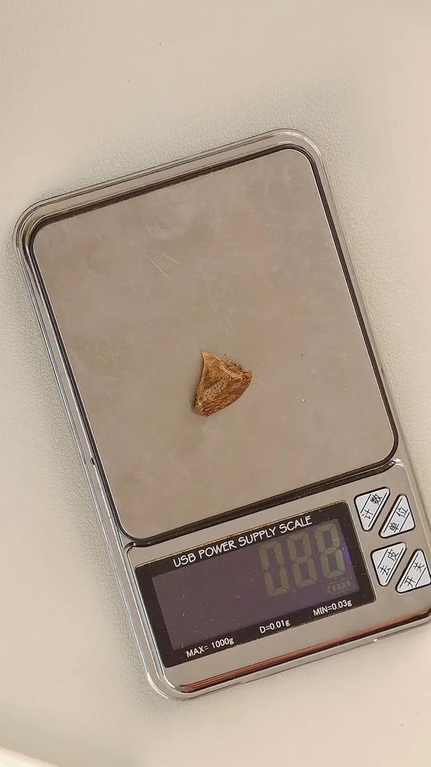 【闪购商品】沉香手把件伊利安料0.8g